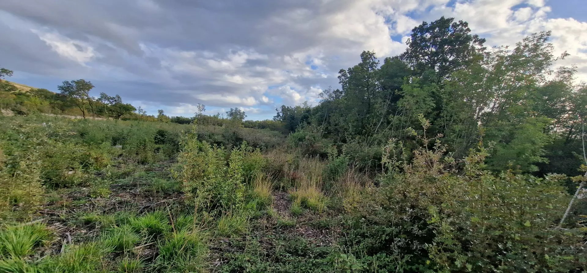 Land In Labin, Croatia (4.154 M²)