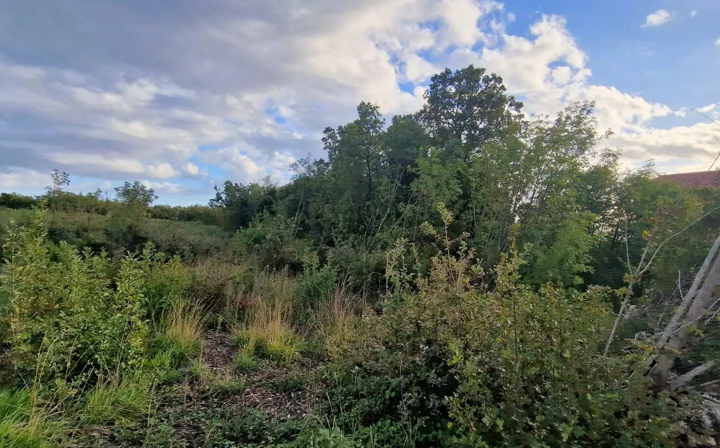 Land In Labin, Croatia (4.154 M²)