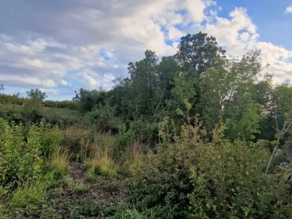Land In Labin, Croatia (4.154 M²)