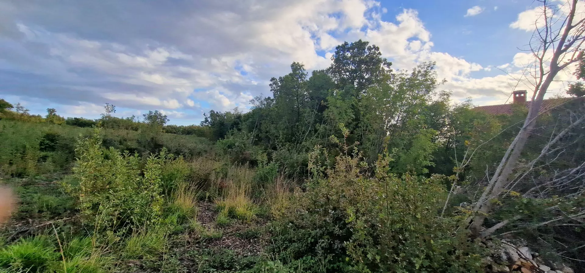 Land In Labin, Croatia (4.154 M²)