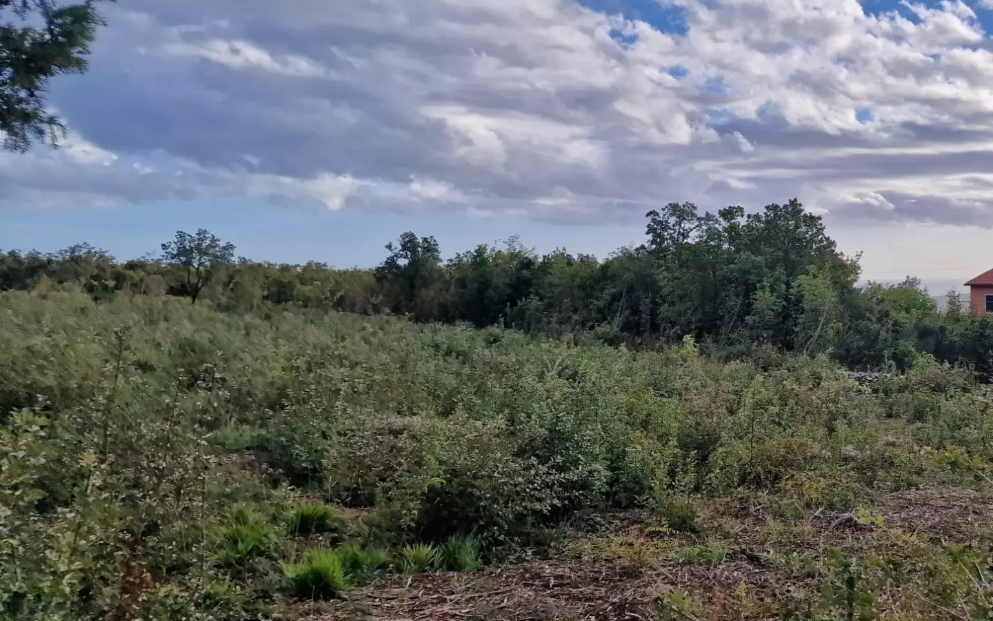 Land In Labin, Croatia (4.154 M²)