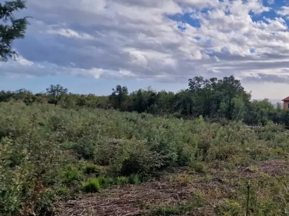 Land In Labin, Croatia (4.154 M²)