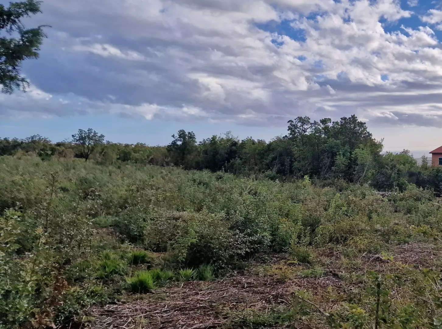 Land In Labin, Croatia (4.154 M²)