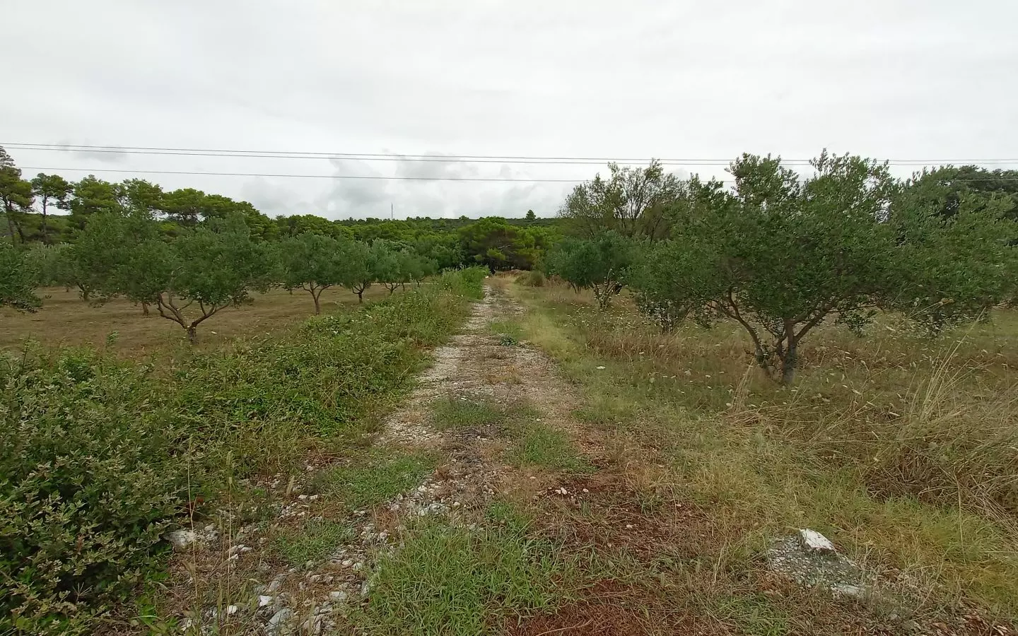 Land In Sukošan, Croatia (1.490 M²)