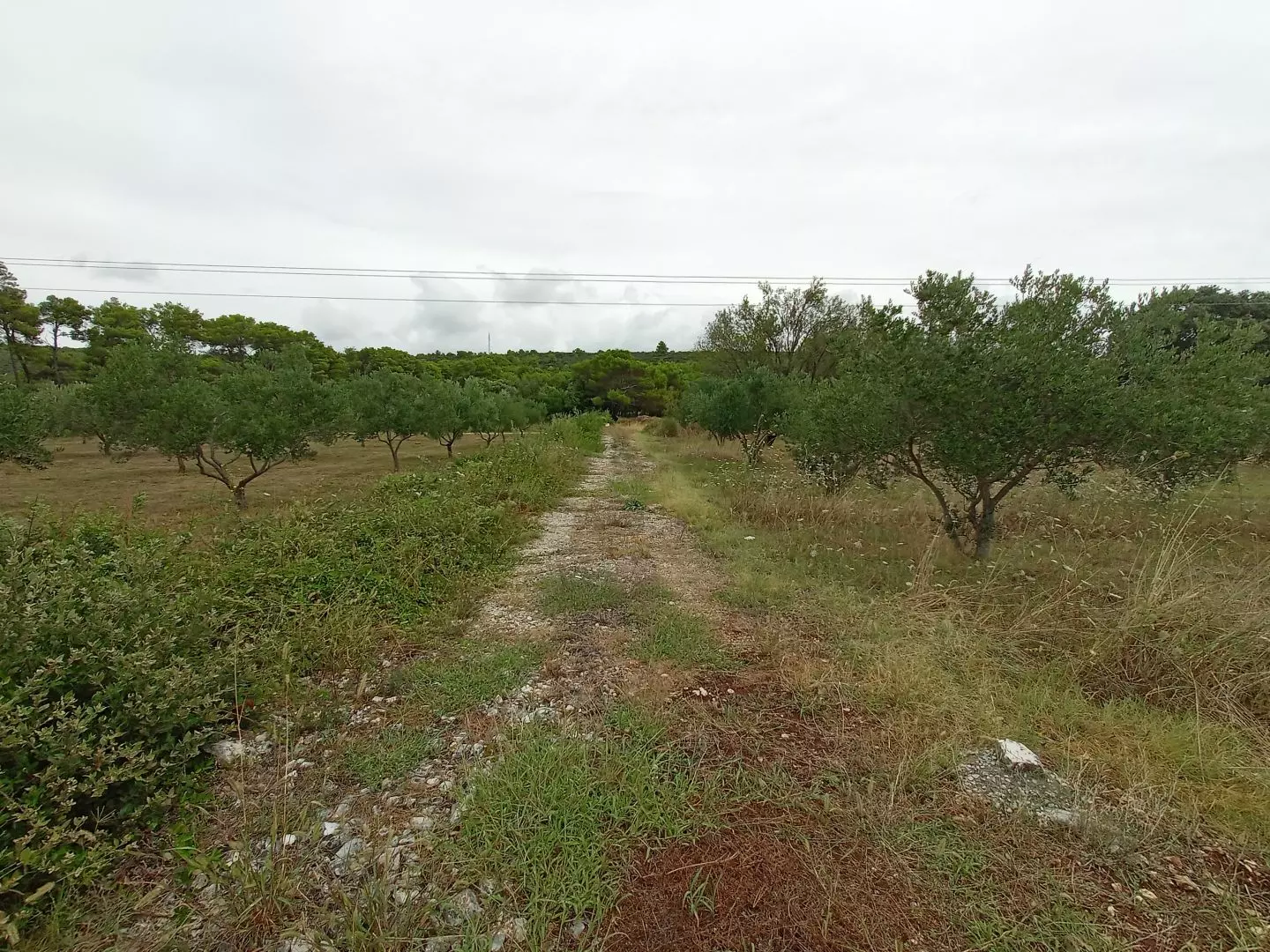 Land In Sukošan, Croatia (1.490 M²)