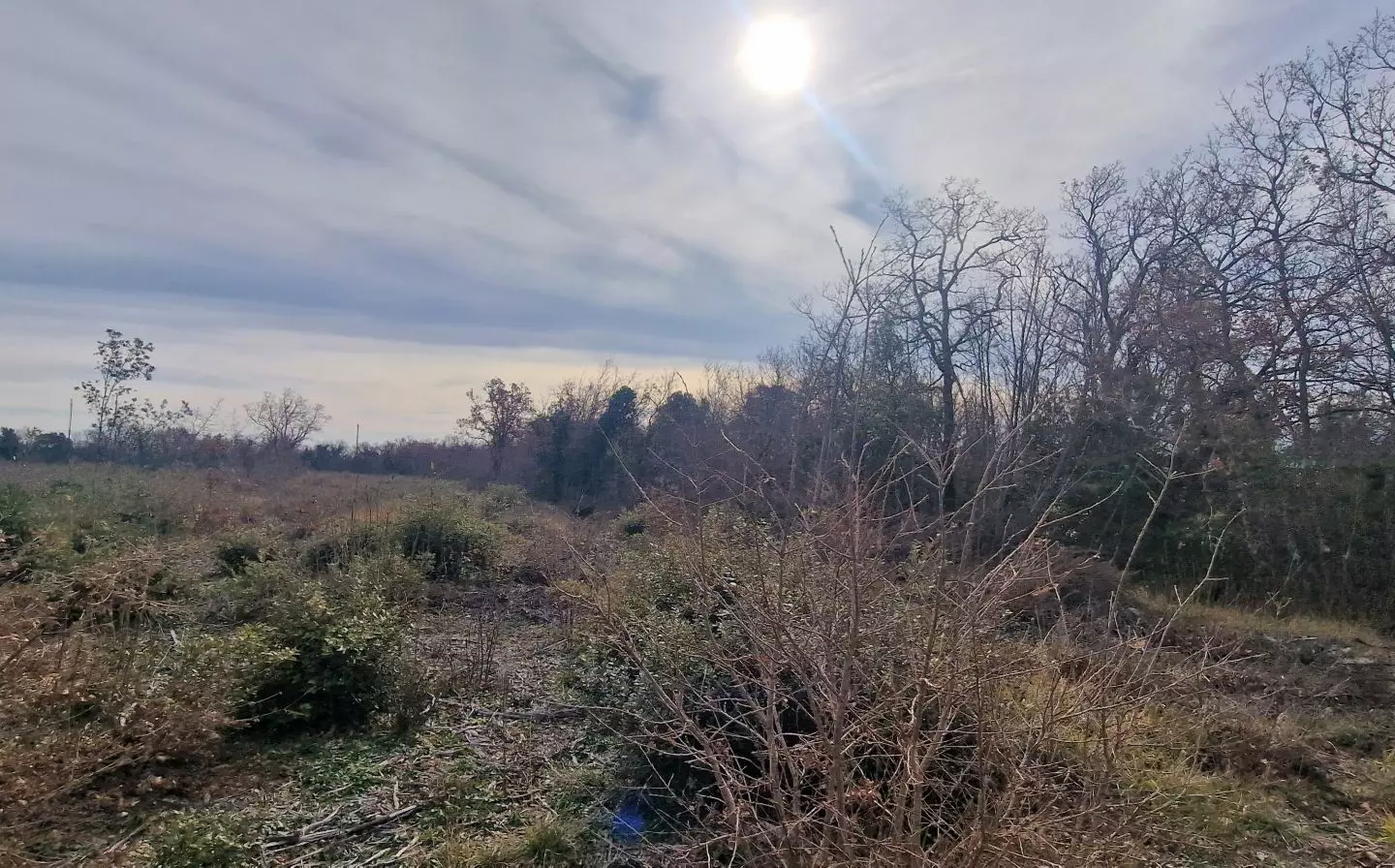 Land In Labin, Croatia (4.154 M²)