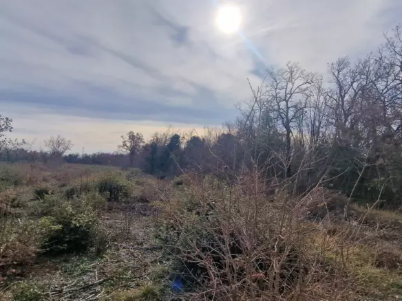 Land In Labin, Croatia (4.154 M²)