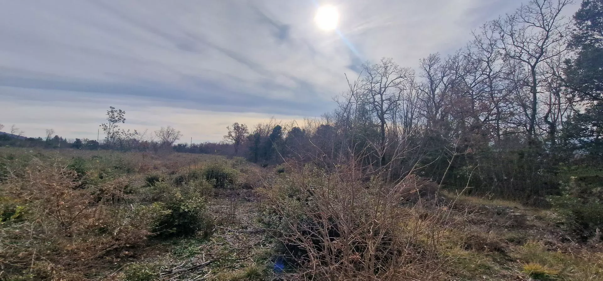Land In Labin, Croatia (4.154 M²)