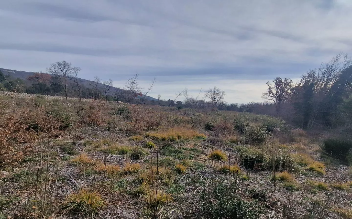 Land In Labin, Croatia (4.154 M²)