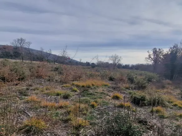 Land In Labin, Croatia (4.154 M²)
