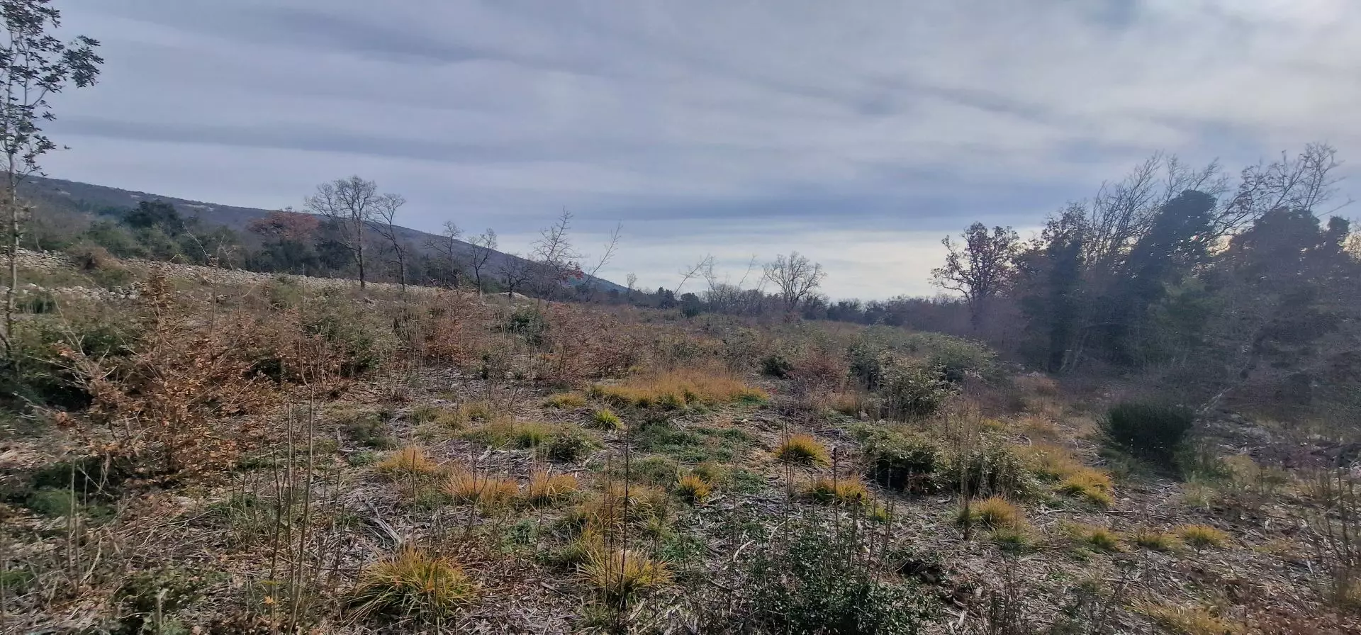 Land In Labin, Croatia (4.154 M²)