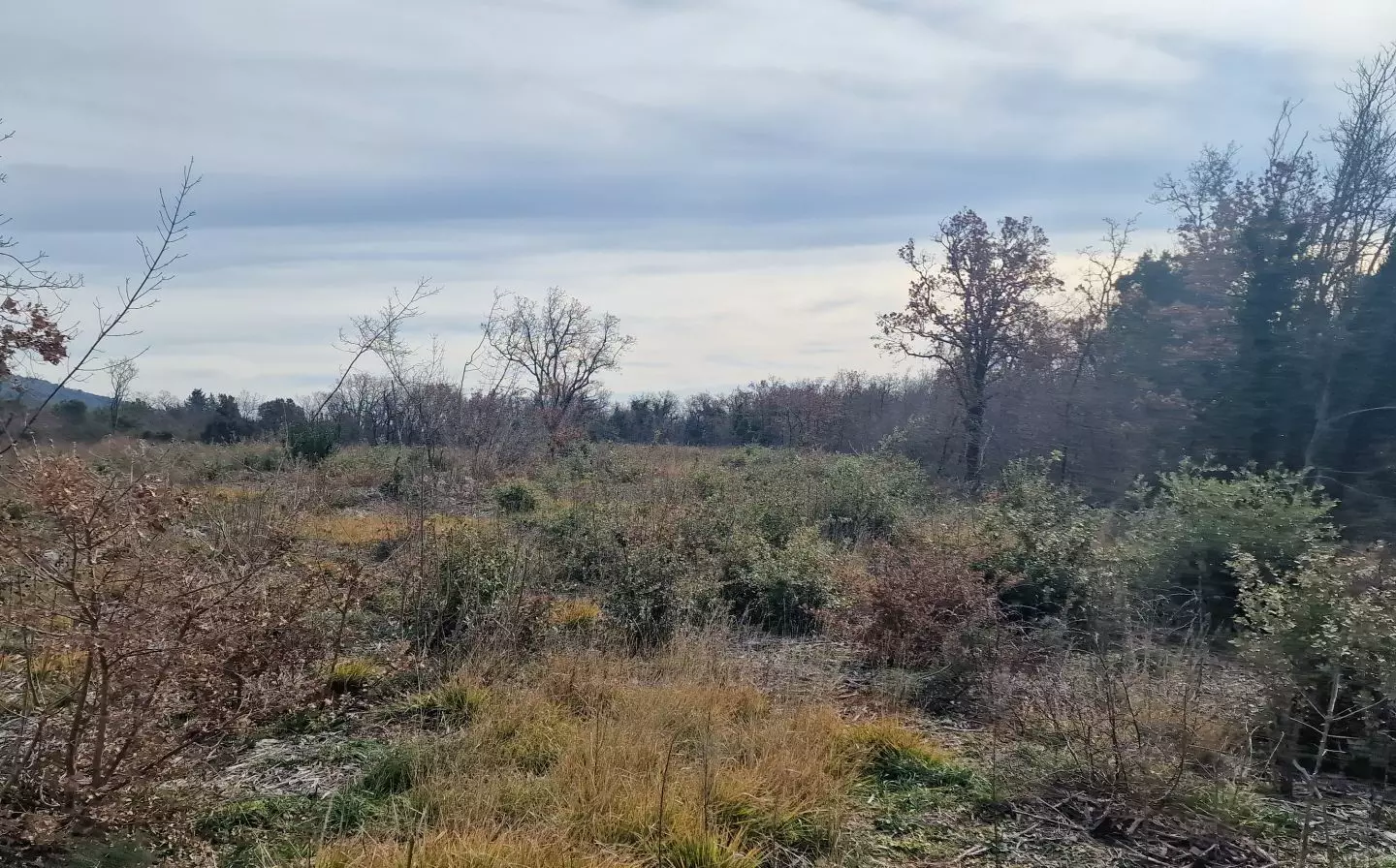 Land In Labin, Croatia (4.154 M²)