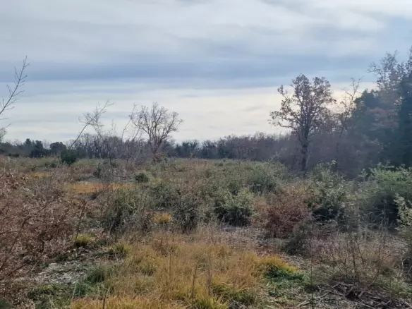 Land In Labin, Croatia (4.154 M²)