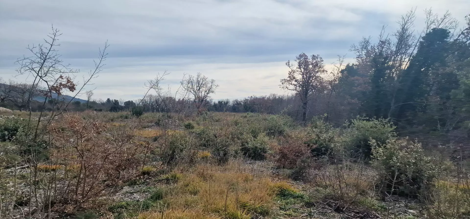 Land In Labin, Croatia (4.154 M²)