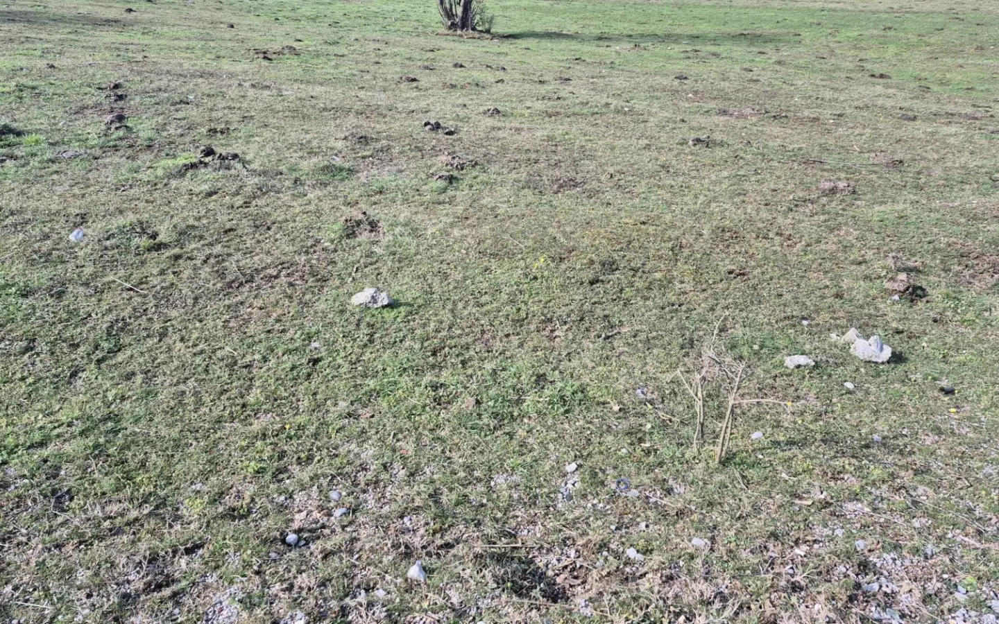 Land In Soboli, Croatia (650 M²)