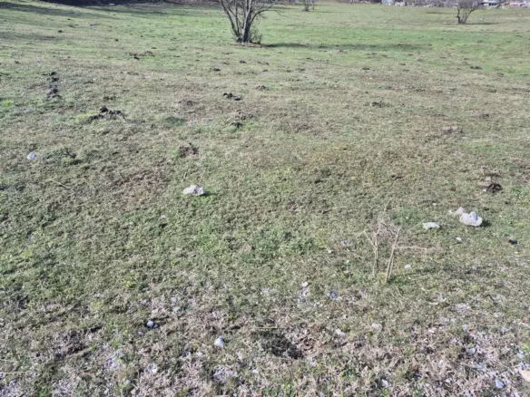 Land In Soboli, Croatia (650 M²)