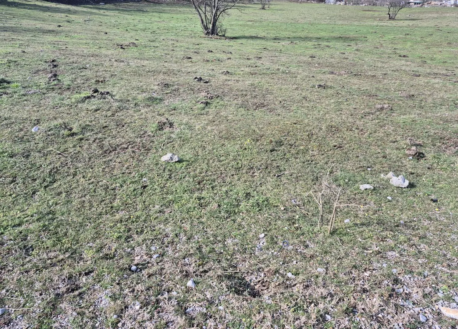 original_1740987575_1bb61afc-d25a-4f12-a84e-6115874c83f1-fcbe26 Land In Soboli, Croatia (650 M²)