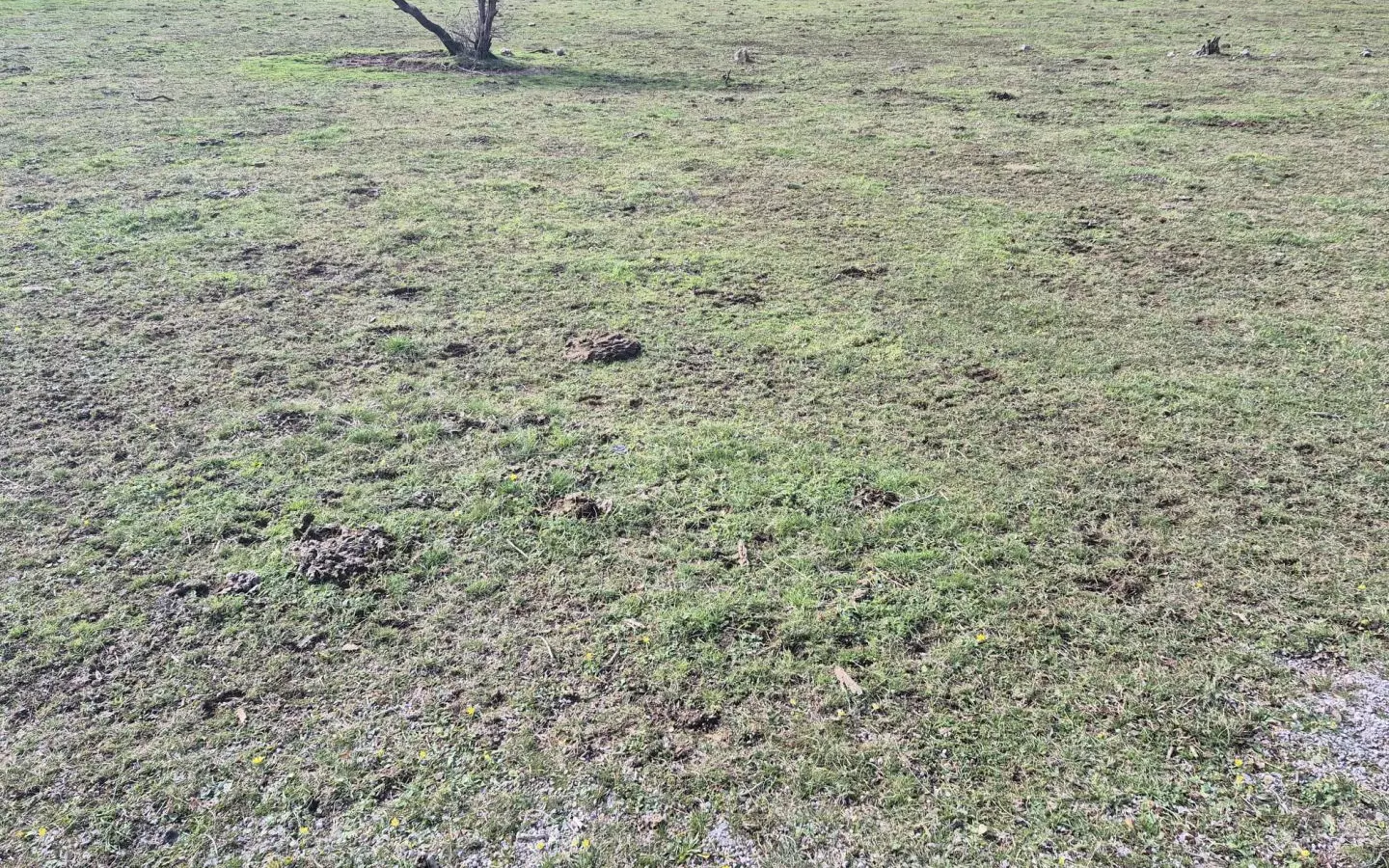 Land In Soboli, Croatia (650 M²)