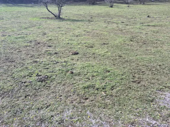 Land In Soboli, Croatia (650 M²)