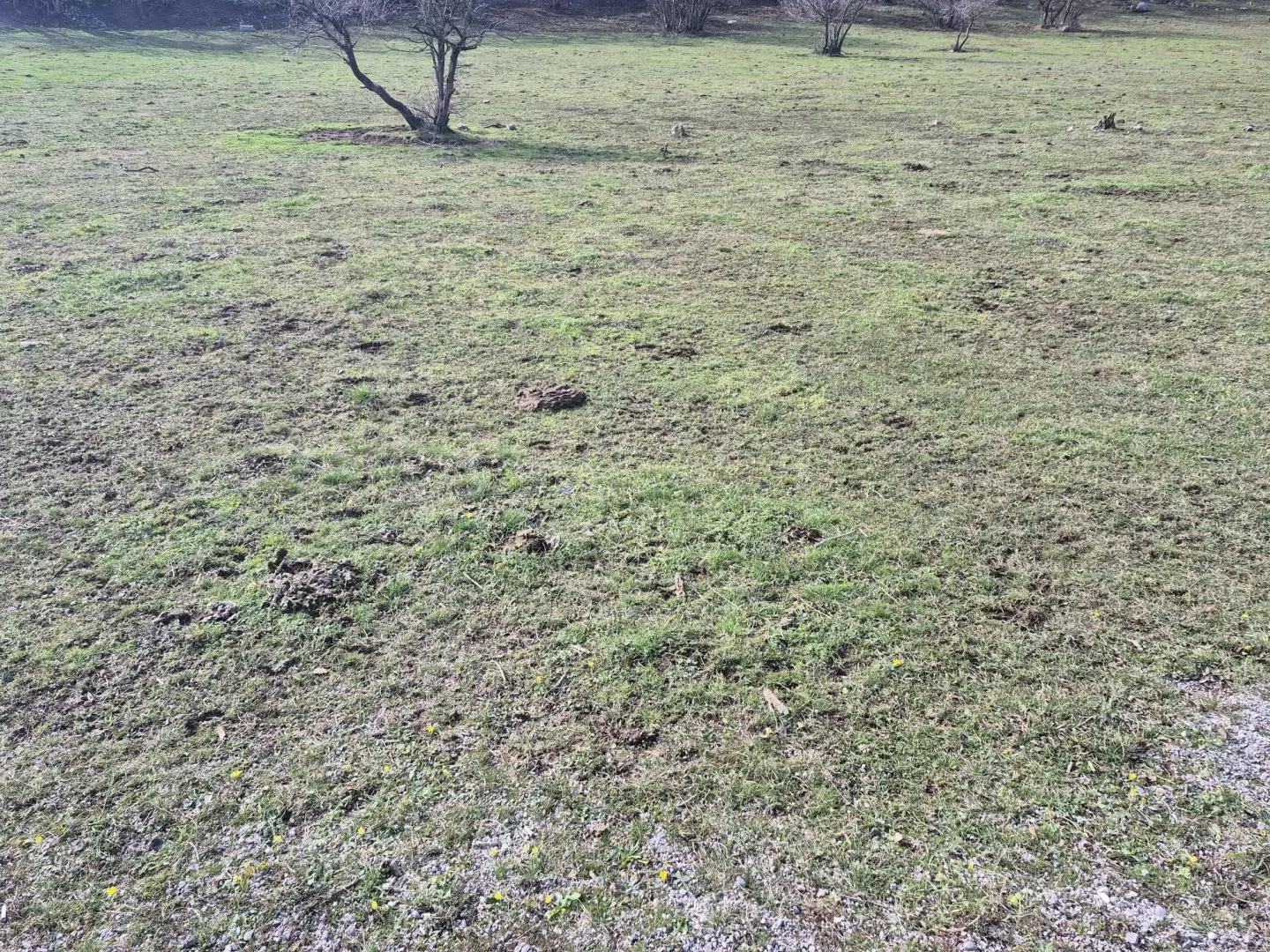 original_1740987582_1dda3f13-a42d-4a0a-b7d9-2ddc162e6bbc-8a7b30 Land In Soboli, Croatia (650 M²)