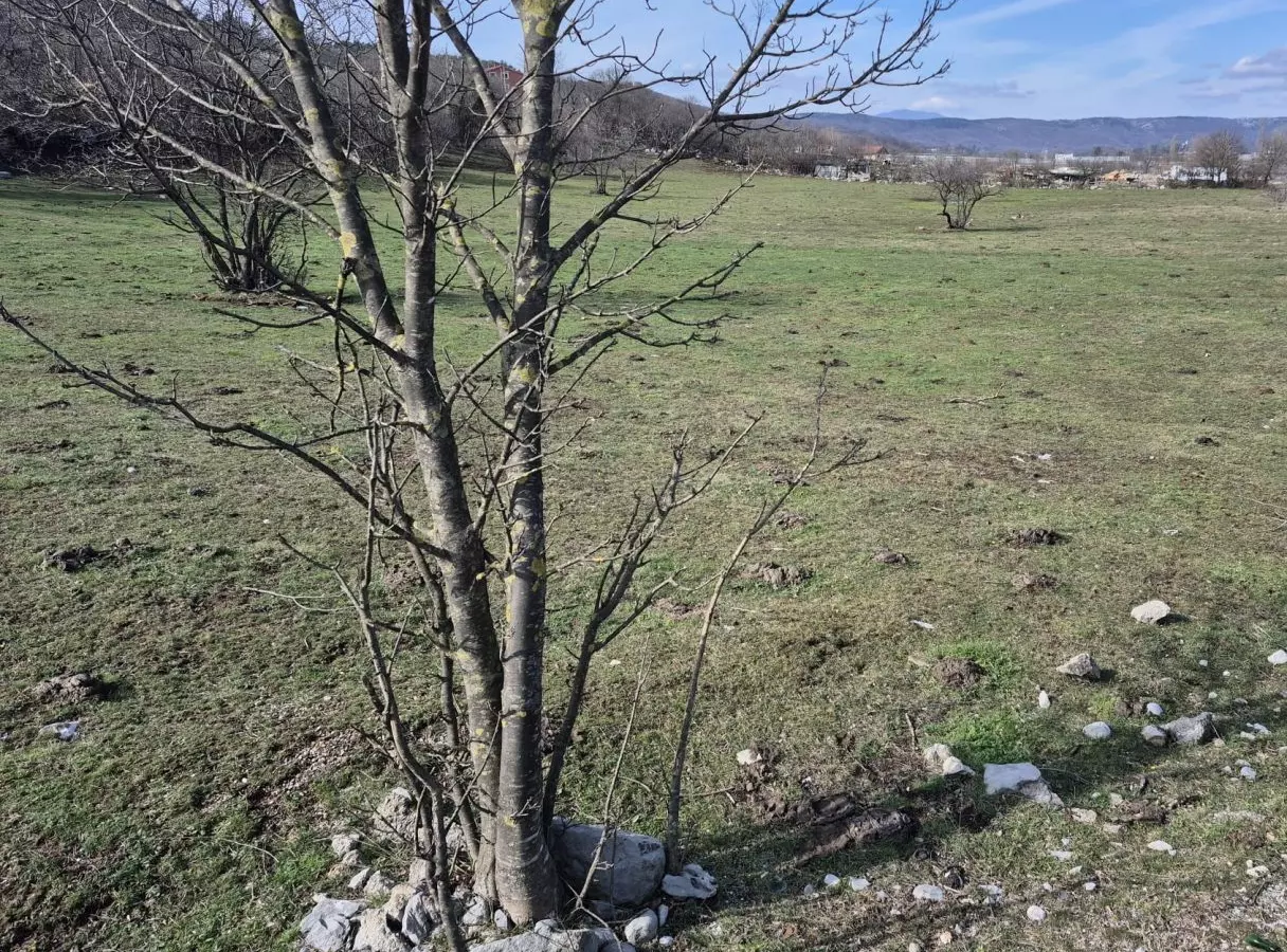 Land In Soboli, Croatia (650 M²)