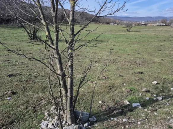 Land In Soboli, Croatia (650 M²)