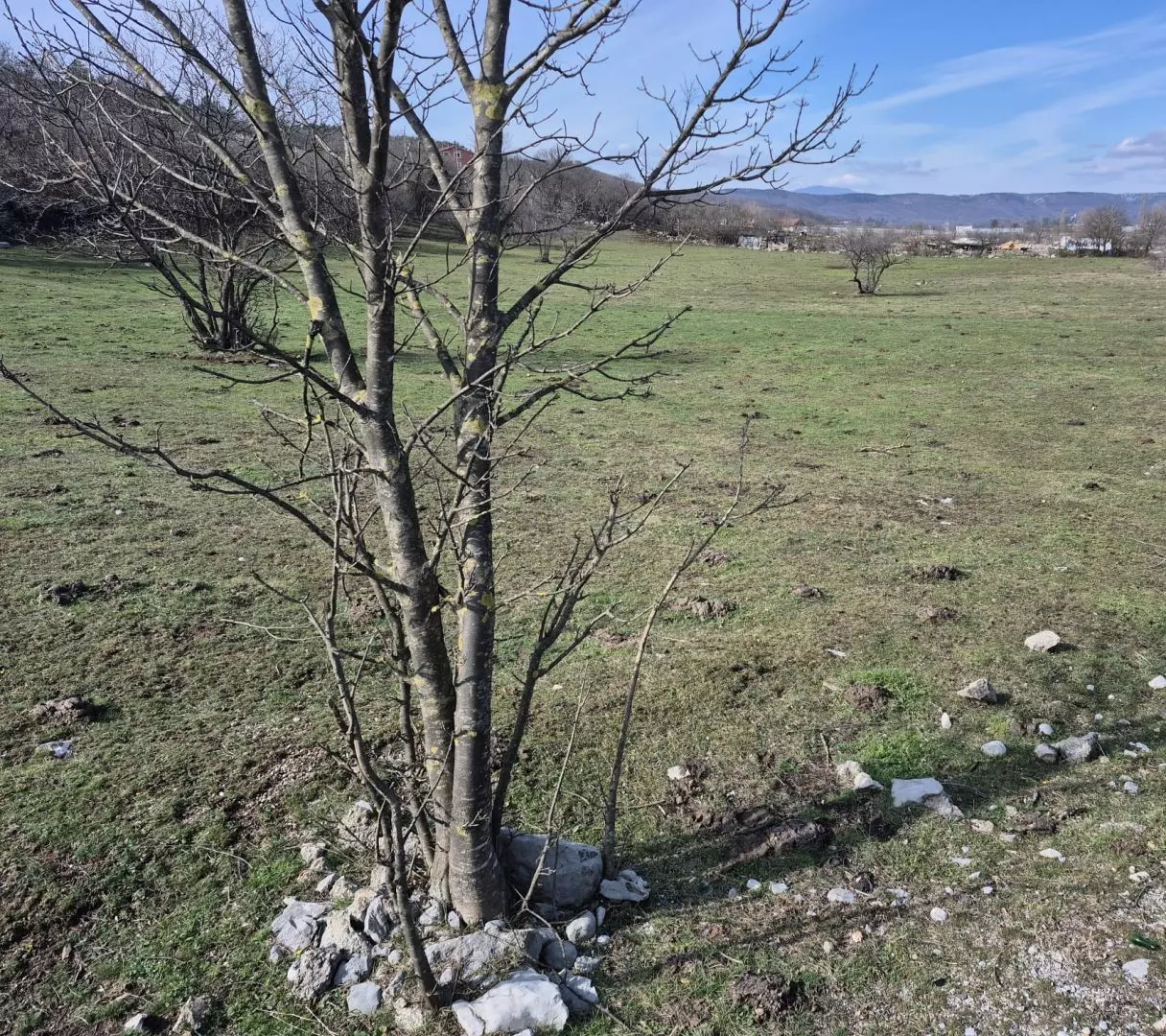 original_1740987592_3b07ca8d-1dd8-42a9-b4ab-a9d5a0ccc352-35f58f Land In Soboli, Croatia (650 M²)