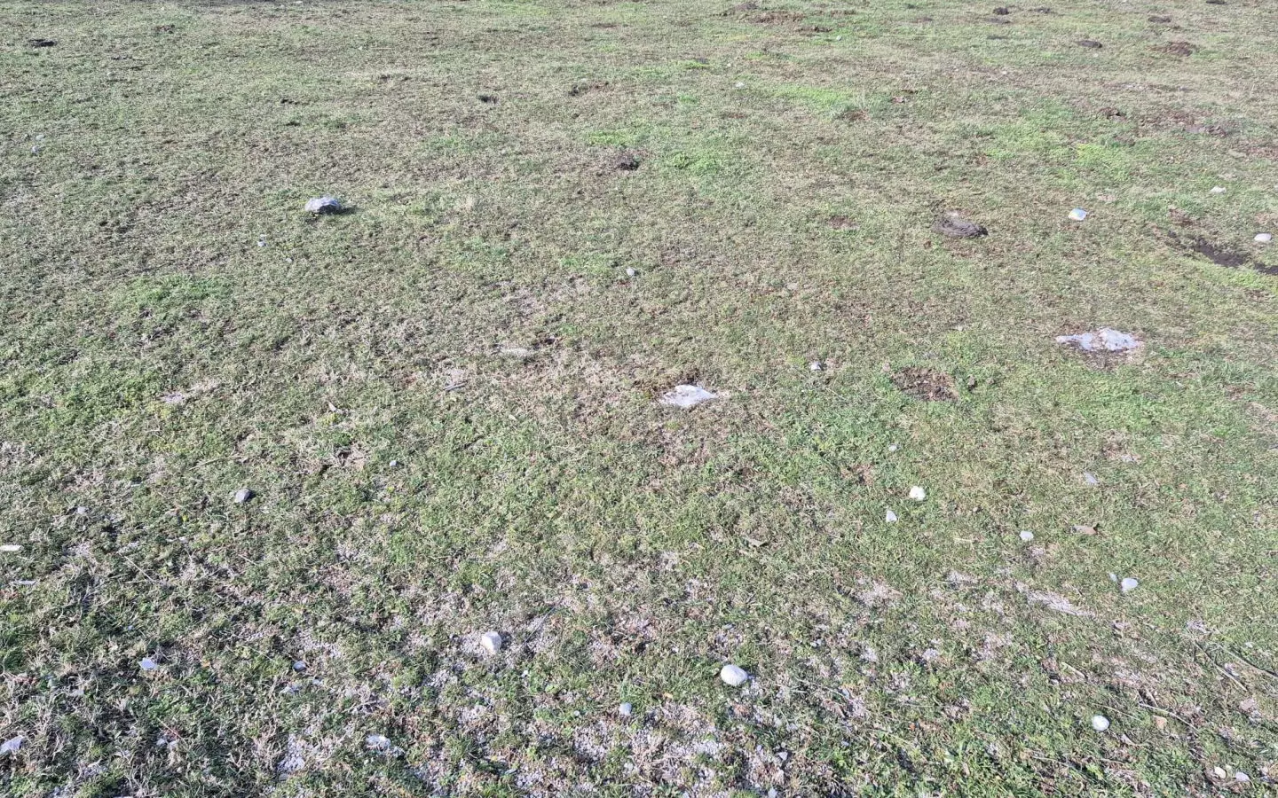 Land In Soboli, Croatia (844 M²)