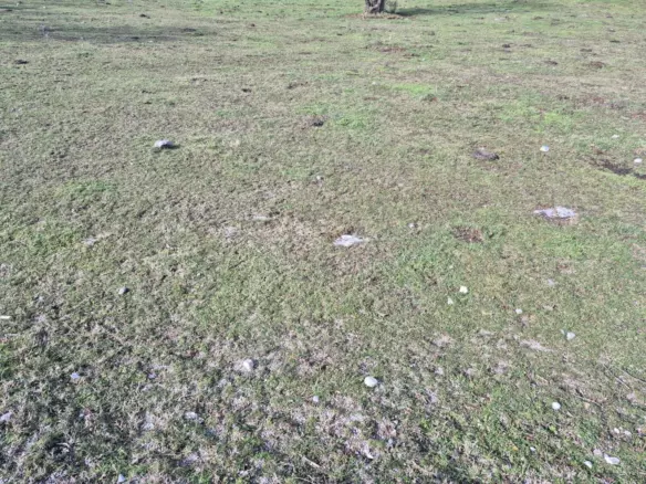 Land In Soboli, Croatia (844 M²)
