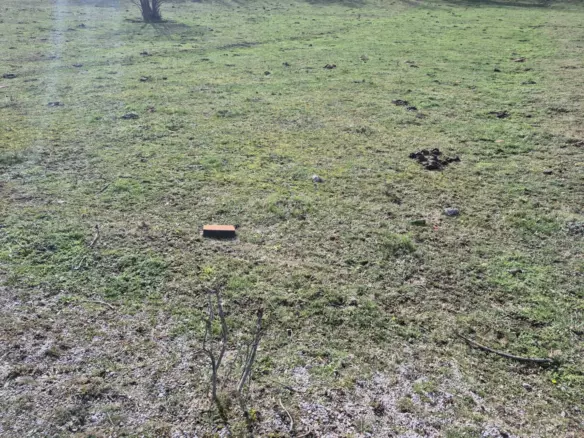 Land In Soboli, Croatia (702 M²)