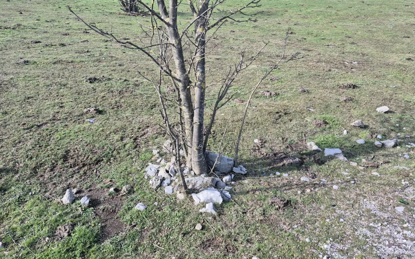 Land In Soboli, Croatia (650 M²)
