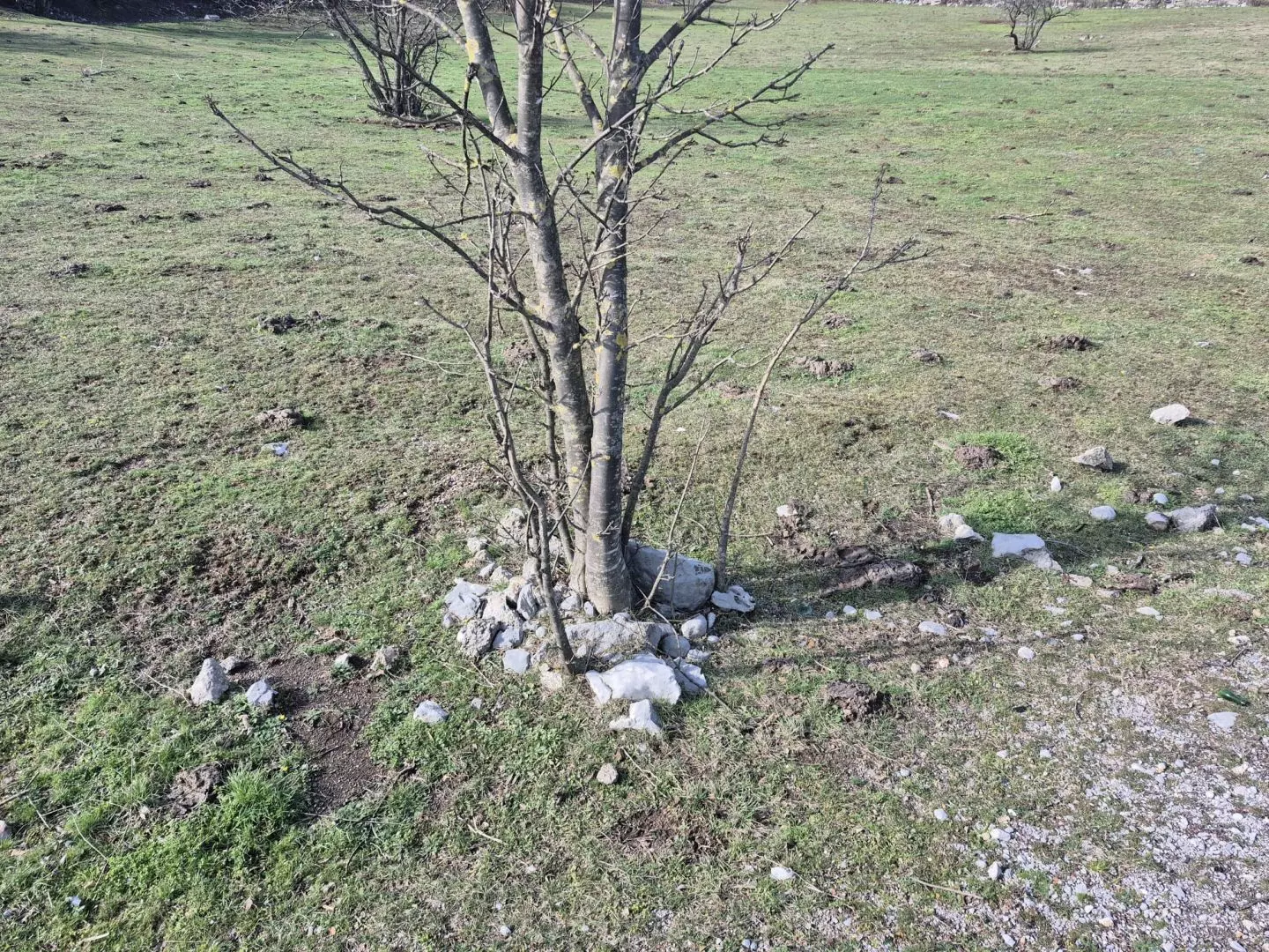 original_1740987637_337eb286-8687-4486-855f-4c4f685b5ec5-2645b3 Land In Soboli, Croatia (650 M²)