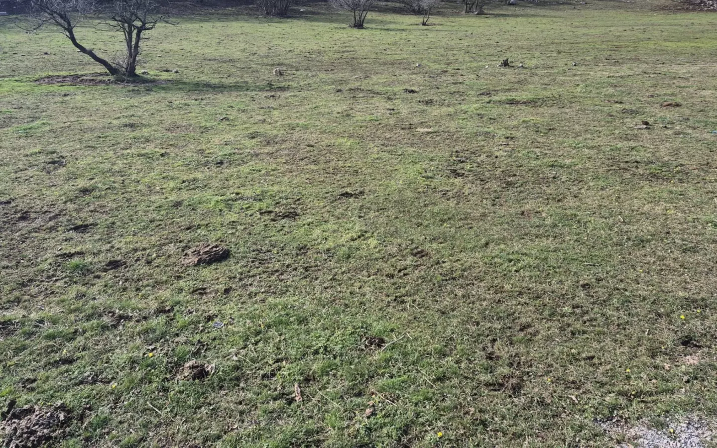 Land In Soboli, Croatia (835 M²)