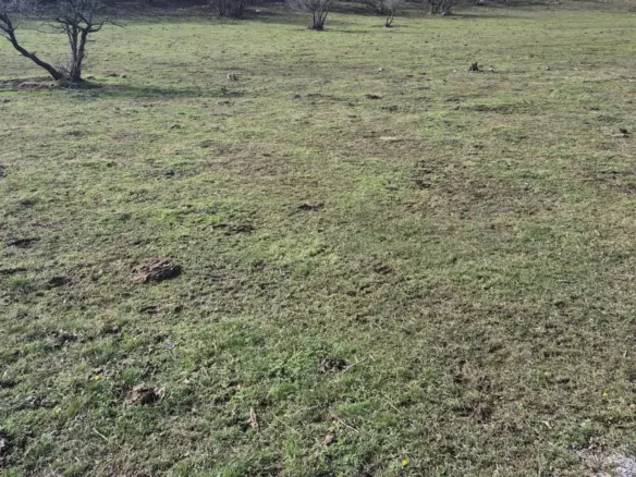 Land In Soboli, Croatia (835 M²)