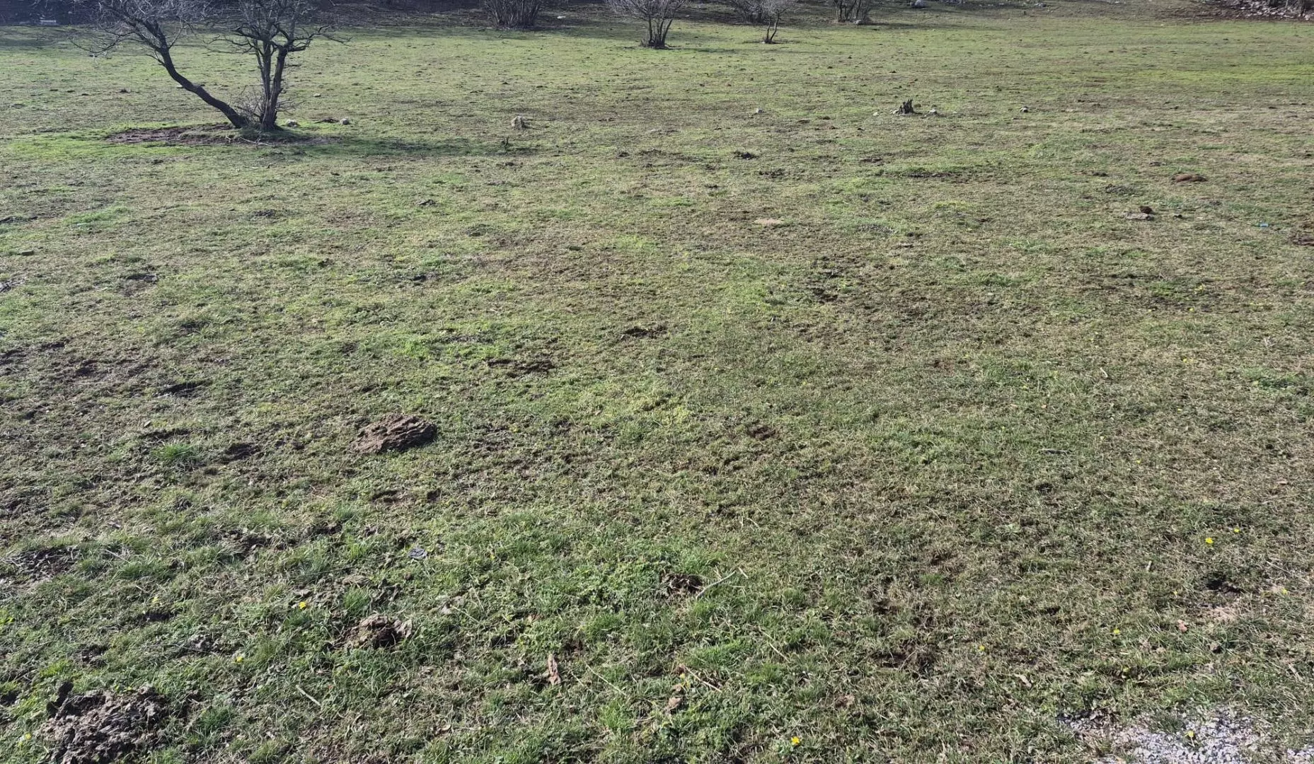 original_1740987647_351800c5-c8b3-49b0-b9de-01d96ba52bbb-56628f Land In Soboli, Croatia (650 M²)
