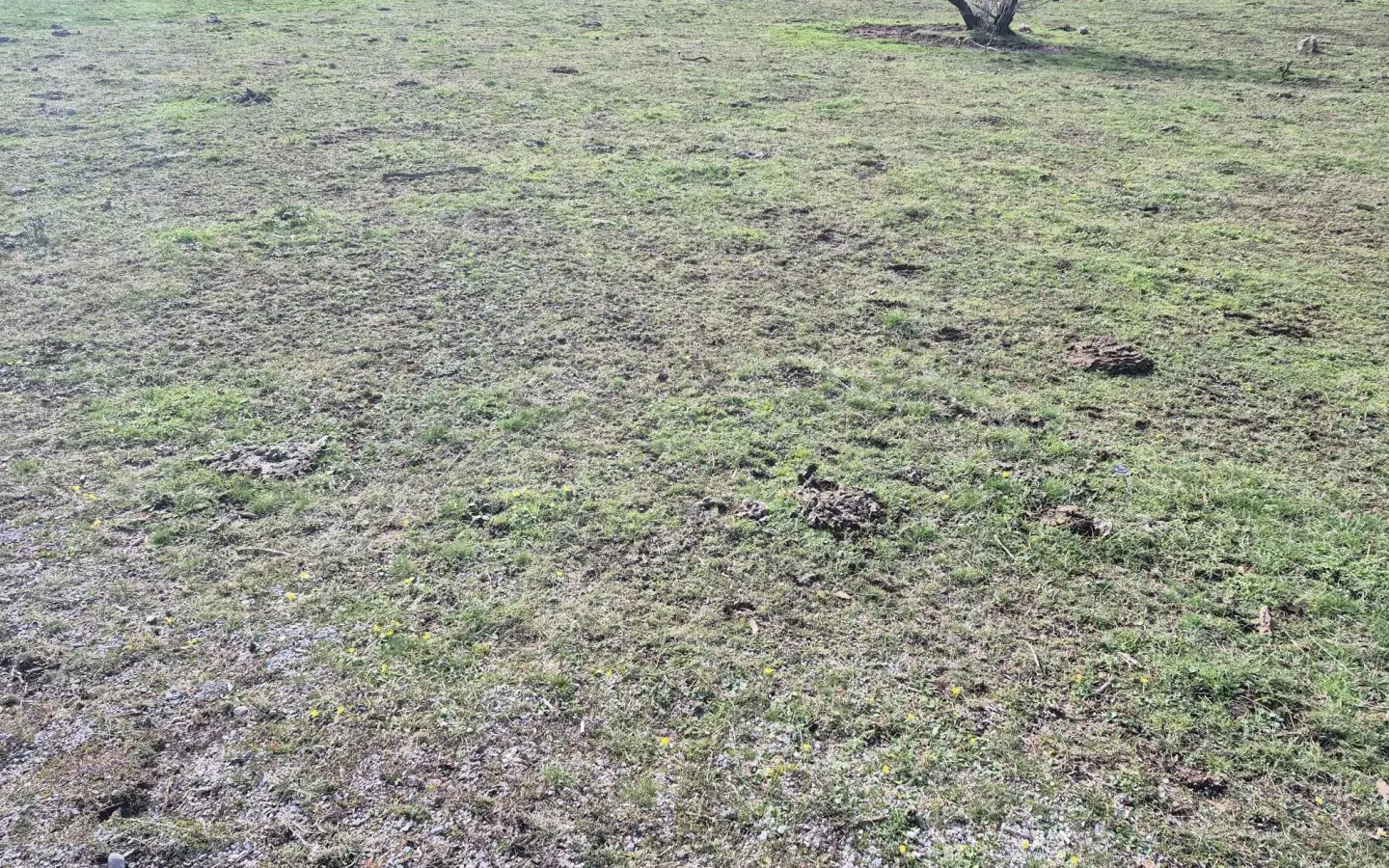 Land In Soboli, Croatia (650 M²)
