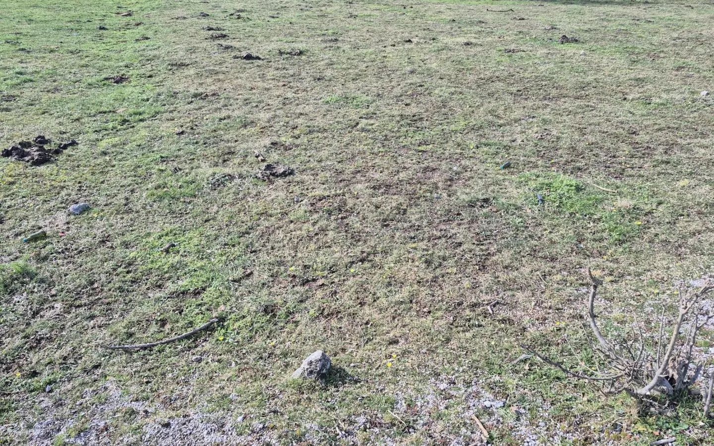 Land In Soboli, Croatia (650 M²)