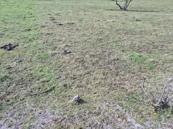 Land In Soboli, Croatia (650 M²)