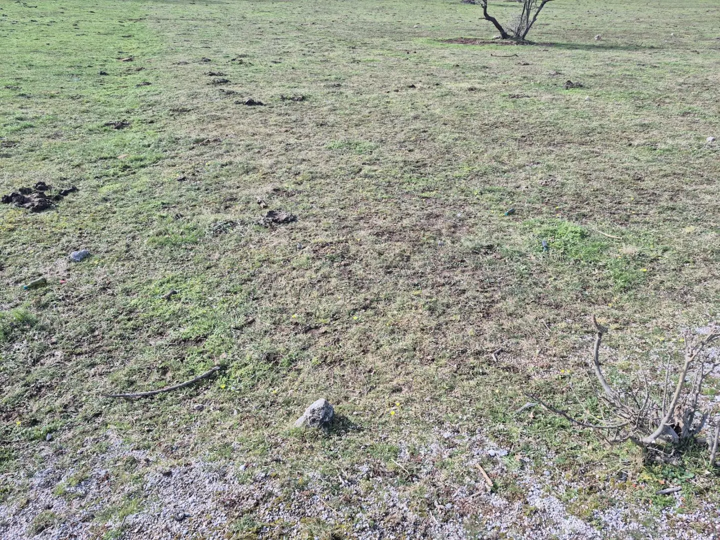 original_1740987675_aebe7160-503a-49e7-b37e-0a2f567f401e-9e27f9 Land In Soboli, Croatia (650 M²)