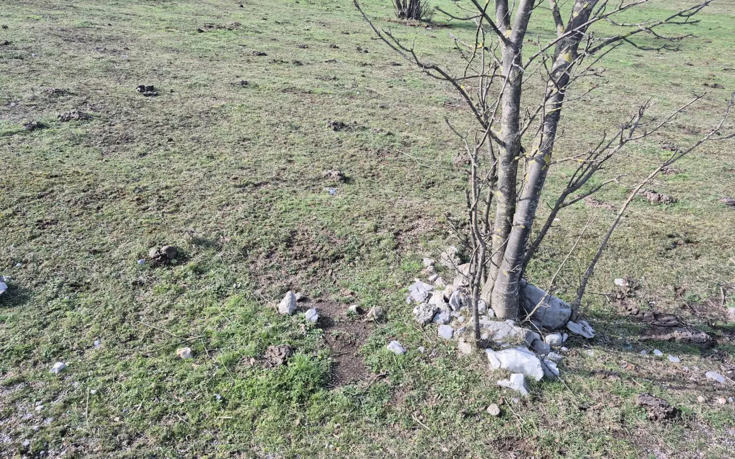Land In Soboli, Croatia (650 M²)
