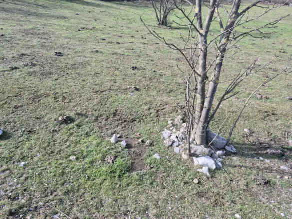 Land In Soboli, Croatia (650 M²)
