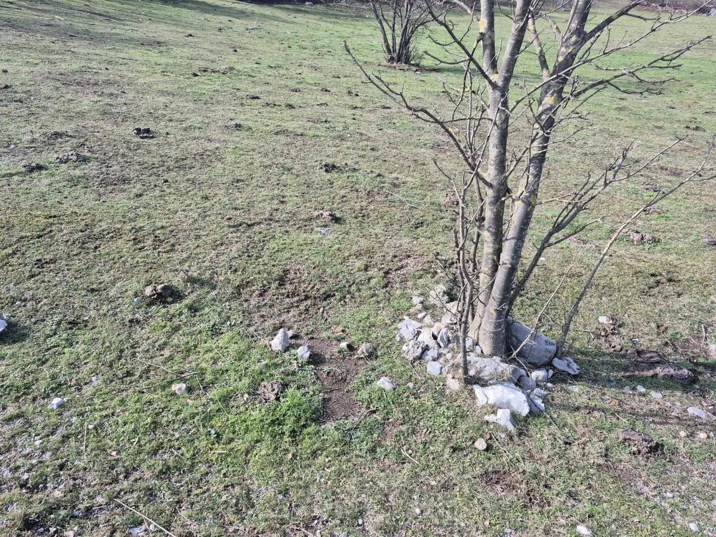 original_1740987685_c2b7dbd3-31df-44d7-a0cb-d6221e9290de-157f02 Land In Soboli, Croatia (650 M²)