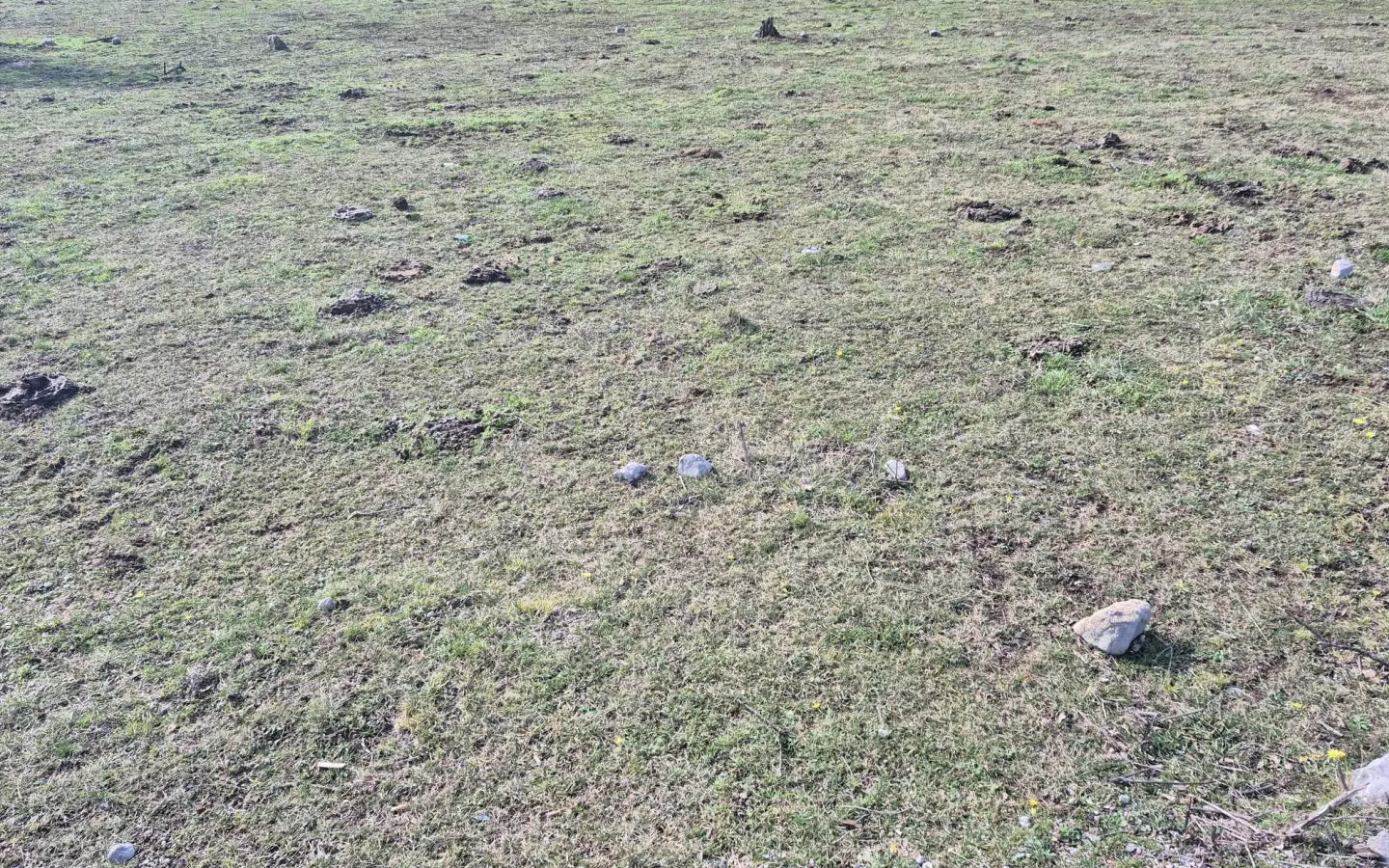 Land In Soboli, Croatia (650 M²)