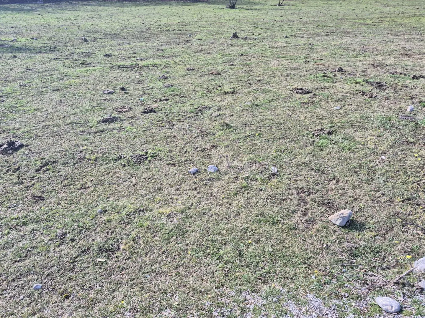 original_1740987696_cacb6204-0ba9-47f7-bea8-2ba97e032506-ebf93c Land In Soboli, Croatia (650 M²)
