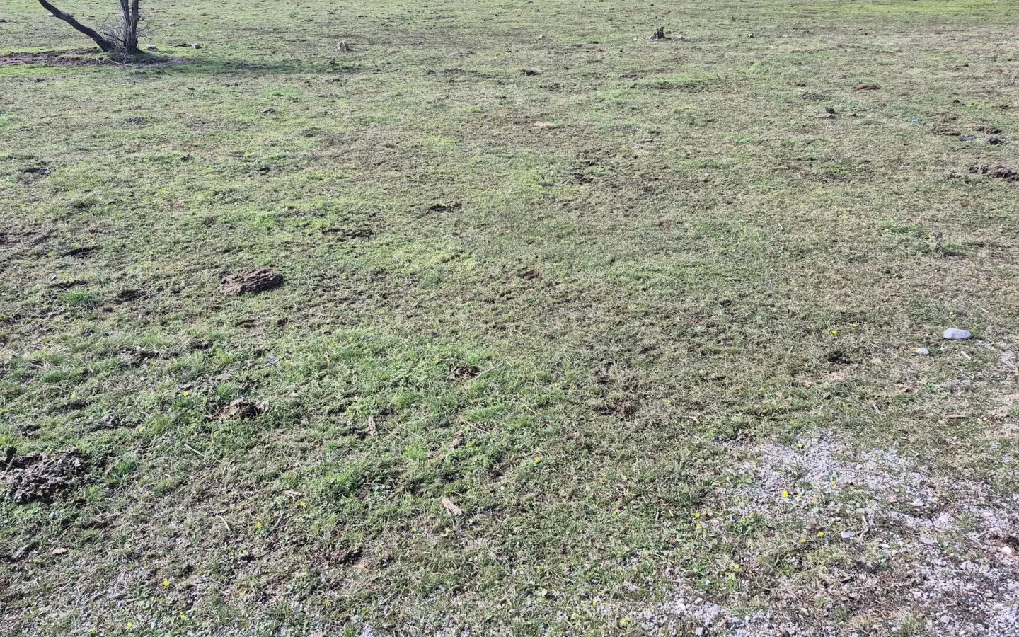 Land In Soboli, Croatia (650 M²)