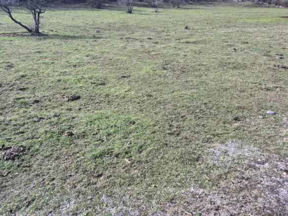 Land In Soboli, Croatia (650 M²)