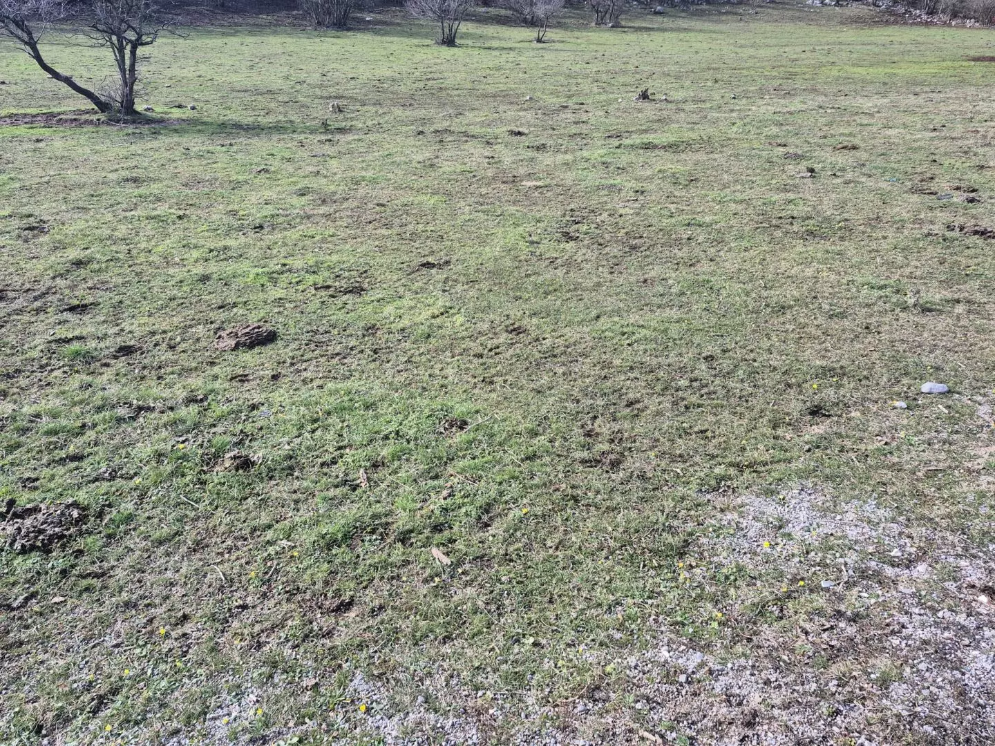 original_1740987707_fce0f34f-1d8c-4328-9b5a-dd934461a6f4-0dd7be Land In Soboli, Croatia (650 M²)