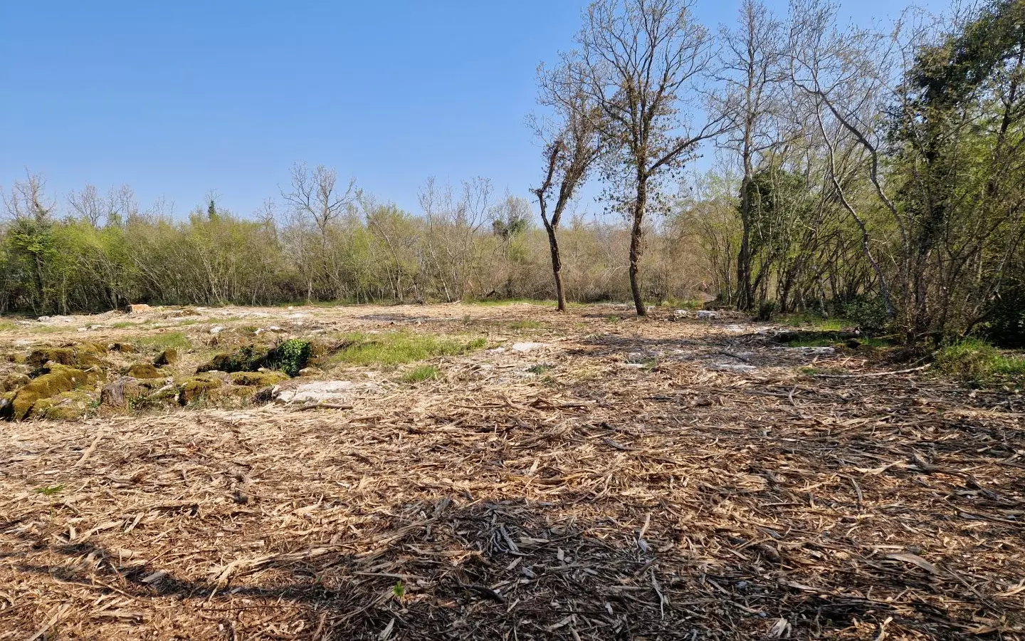 Land In Poreč, Croatia (2.768 M²)