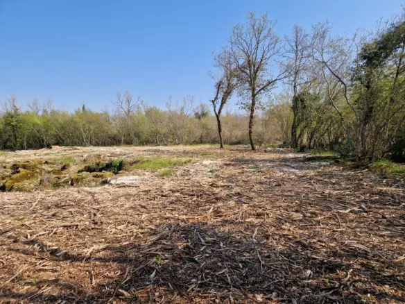 Land In Poreč, Croatia (2.768 M²)