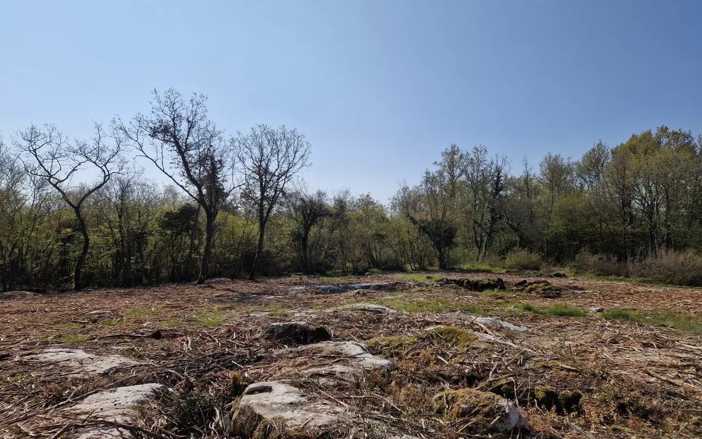 Land In Poreč, Croatia (2.768 M²)
